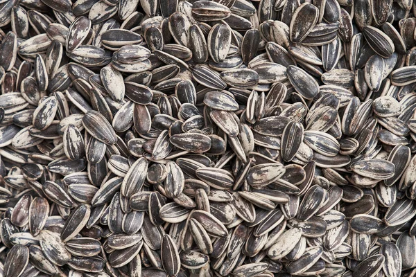 Beautiful sunflower seeds image