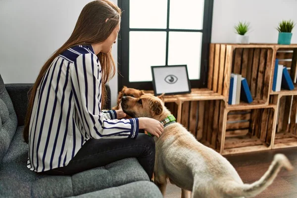 Young Hispanic Woman Smiling Confident Sitting Sofa Dogs Home — Φωτογραφία Αρχείου