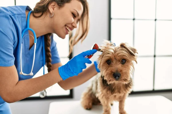 Young Beautiful Hispanic Woman Veterinarian Examining Dog Otoscope Veterinary Clinic — ストック写真