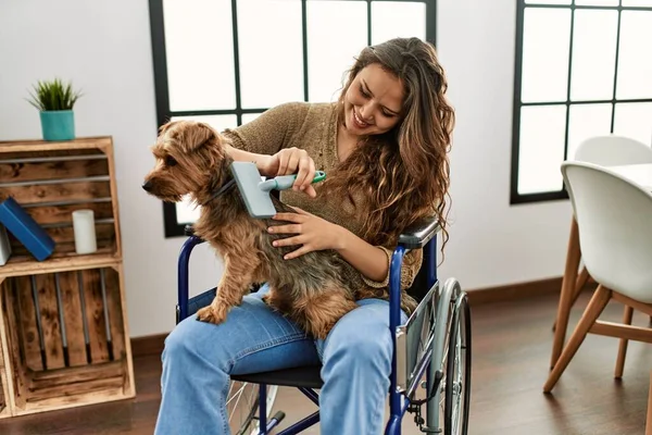 Evde Tekerlekli Sandalyede Oturan Güzel Spanyol Kadın Köpek Kılı Tarıyor — Stok fotoğraf