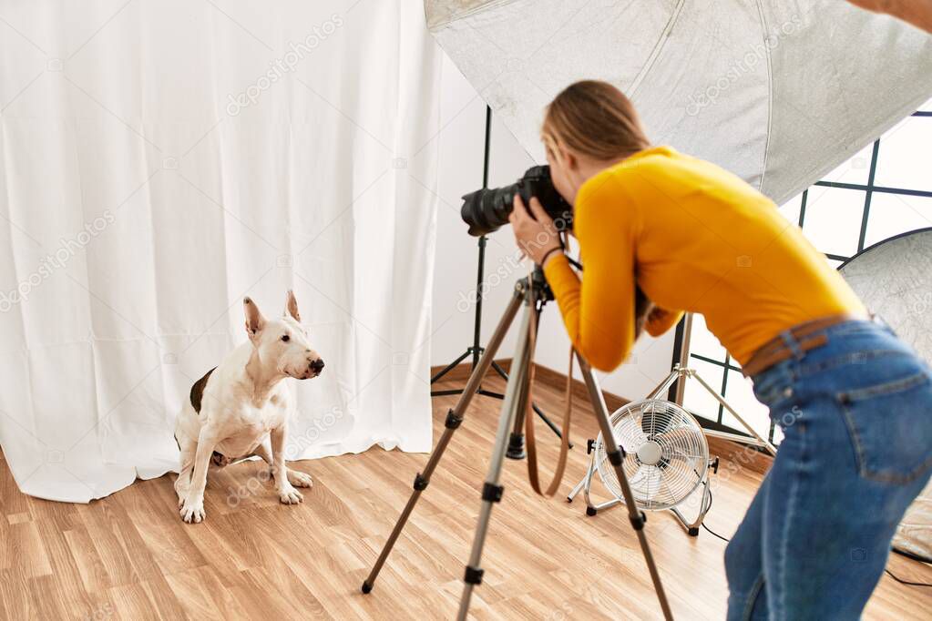 Young caucasian woman photographer making photo to dog at photography studio