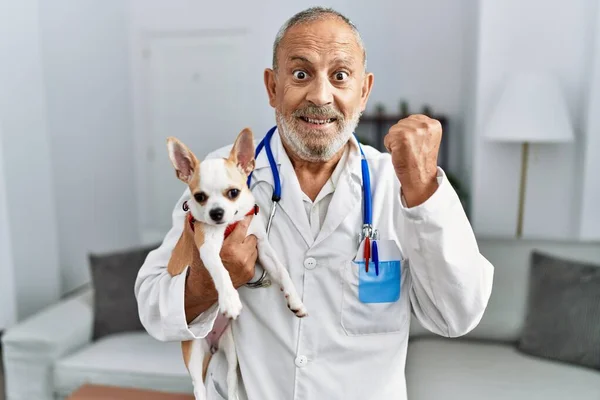 成熟的兽医检查狗的健康 尖叫着自豪 庆祝胜利和成功 举起双臂非常兴奋 — 图库照片