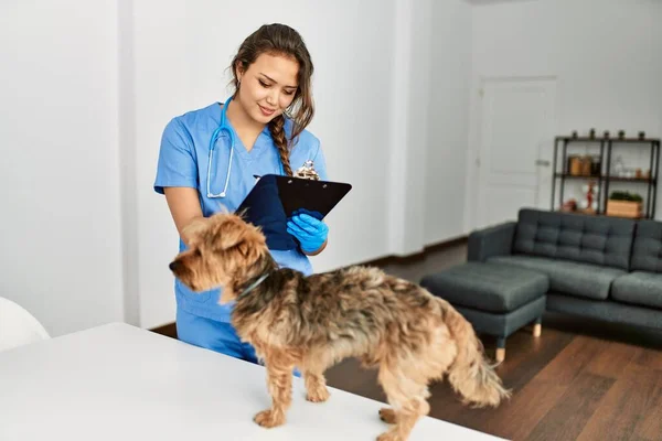 Ung Vacker Latinamerikansk Kvinna Veterinär Undersöka Hund Skriva Rapport Hemma — Stockfoto
