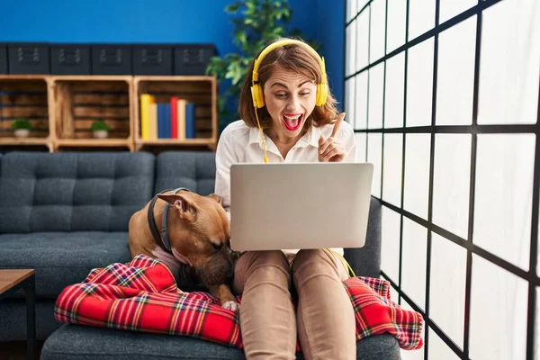 Kanepede dizüstü bilgisayar kullanan genç ve güzel bir kadın bir fikre ya da soru işaretine şaşırmış ve mutlu bir yüzle işaret ediyor. 