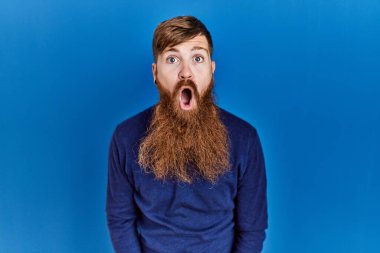Uzun sakallı, mavi arka planda sıradan mavi süveter giyen kızıl saçlı adam şaşkınlık ve şaşkınlık dolu bir ifade, korku ve heyecanlı bir yüz ifadesiyle şoka uğramış ve korkmuştu.. 