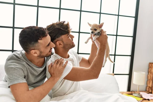 Due Uomini Ispanici Abbracciano Vicenda Seduti Sul Letto Con Chihuahua — Foto Stock