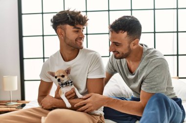 İki İspanyol erkek yatak odasında Chihuahua ile yatakta oturuyor.