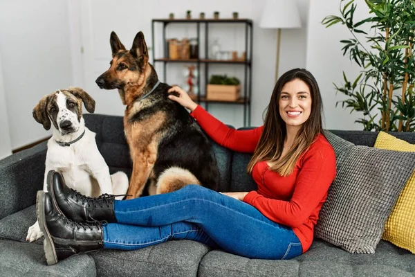 Young Woman Smiling Confident Sitting Sofa Dogs Home — Stok fotoğraf