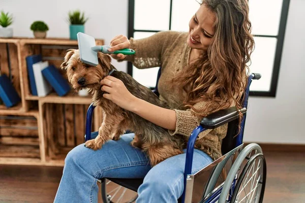 Mladý Krásný Hispánec Žena Česání Pes Vlasy Sedí Invalidním Vozíku — Stock fotografie