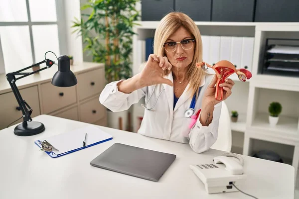 Middle age blonde gynecologist woman holding anatomical model of female genital organ with angry face, negative sign showing dislike with thumbs down, rejection concept