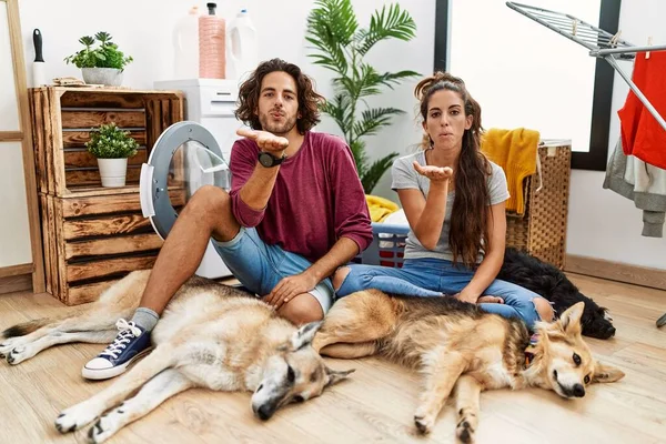Junges Hispanisches Paar Beim Wäschewaschen Mit Hunden Die Die Kamera — Stockfoto