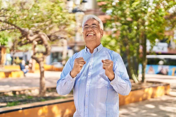 Senior Man Standing Cheerful Expression Park — Foto de Stock