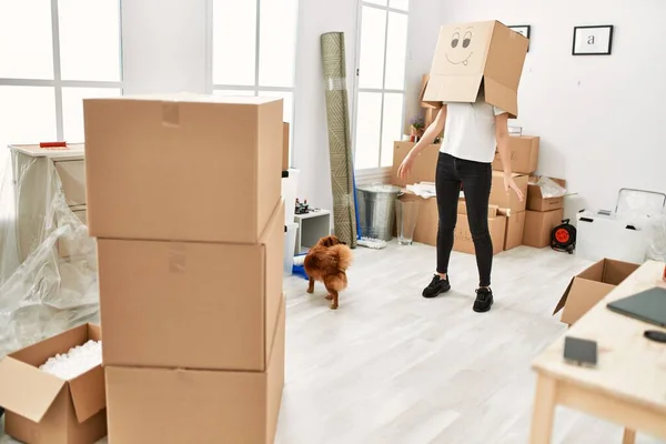 Mujer Hispana Joven Usando Cartón Divertido Cabeza Jugando Con Perros —  Fotos de Stock