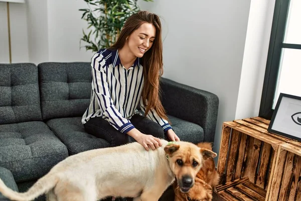 Young Hispanic Woman Smiling Confident Sitting Sofa Dogs Home — Φωτογραφία Αρχείου