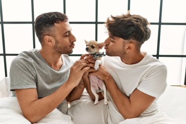 İki İspanyol erkek yatak odasında Chihuahua ile yatakta oturuyor.