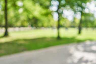 Park arka plan bulanık 