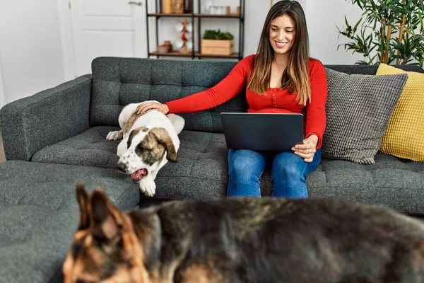 Young Woman Using Laptop Sitting Sofa Dog Home — ストック写真