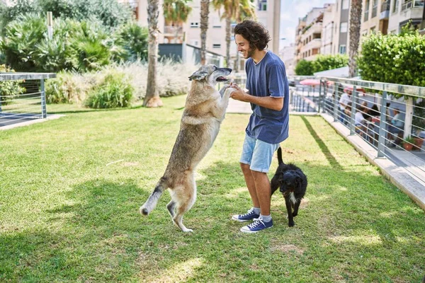 Young man smiling confident playing with dog at park