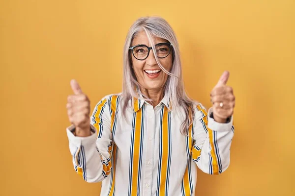 Middle Age Woman Grey Hair Standing Yellow Background Wearing Glasses — Stock Photo, Image