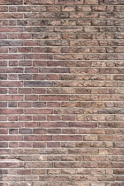 Texture Mur Briques — Photo