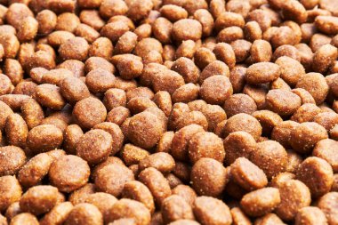  Lezzetli köpek maması küre dokusu.