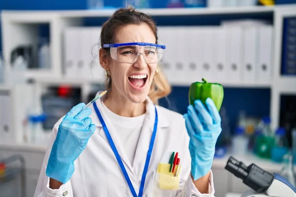 在科学家实验室工作的年轻的慌张女人 带着蔬菜愤怒和疯狂的尖叫 沮丧和愤怒 怒吼着 愤怒和好斗的概念 — 图库照片