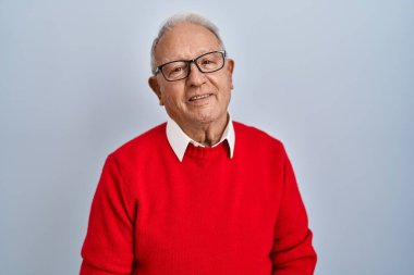 Senior man with grey hair standing over isolated background relaxed with serious expression on face. simple and natural looking at the camera. 