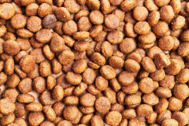  Lezzetli köpek maması küre dokusu.