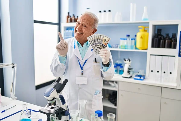 Starszy Naukowiec Siwymi Włosami Pracujący Laboratorium Trzymający Dolary Uśmiechający Się — Zdjęcie stockowe