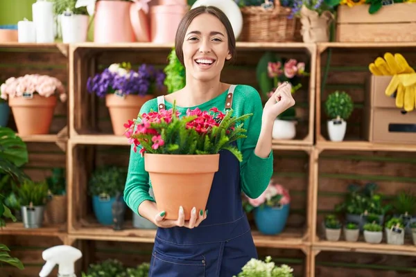 Young Hispanic Woman Working Florist Shop Holding Plant Screaming Proud — Stock Photo, Image