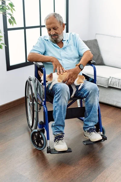 家で車椅子に座っているChihuahuaを保持シニア白髪の男 — ストック写真