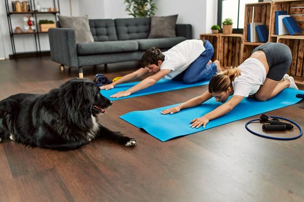 Giovane Coppia Caucasica Concentrare Yoga Formazione Con Cane Casa — Foto Stock