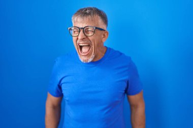 Mavi arka planda gri saçlı İspanyol bir adam öfkeli ve öfkeli çığlıklar atıyor öfkeyle bağırıyor. öfke ve agresif konsept. 