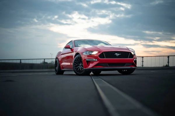 Wroclaw Poland August 2022 Fast American Sports Car Ford Mustang Stockbild