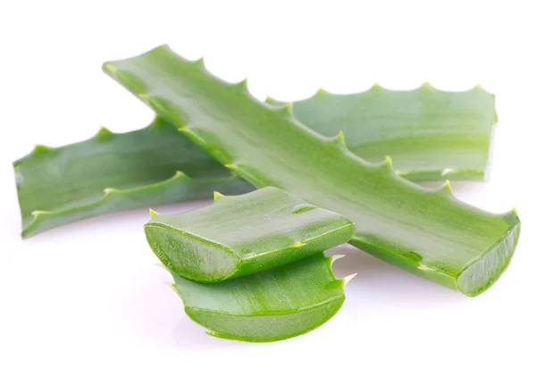 Aloe vera — Stock fotografie