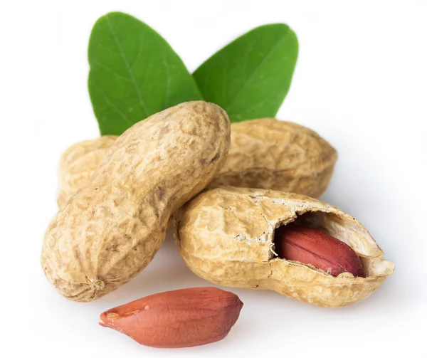 Čerstvé arašídové — Stock fotografie