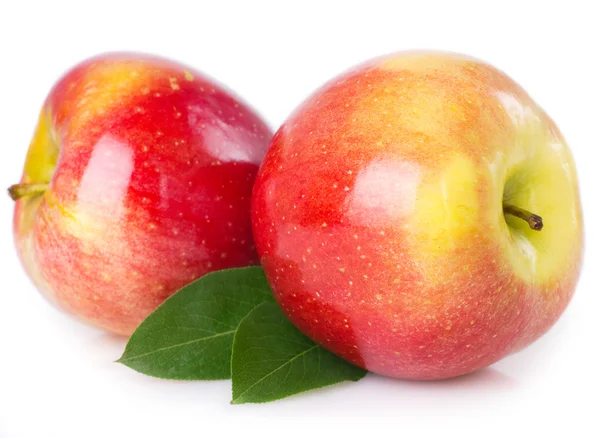 Färskt äpple — Stockfoto