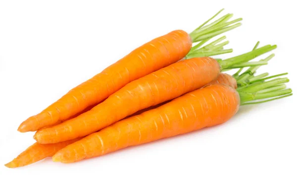 Fresh carrots — Stock Photo, Image