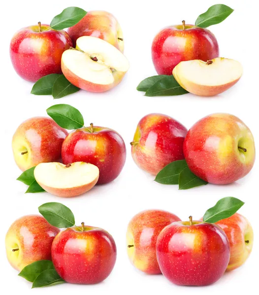 Frische Äpfel Stockbild