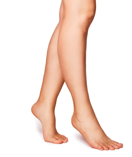 Dişi Bacaklar