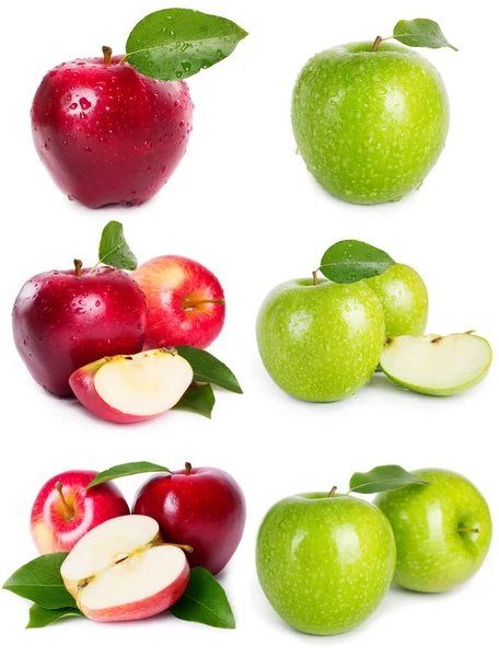 Sběr jablek — Stock fotografie