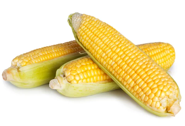 Fresh corn — Stock Photo, Image