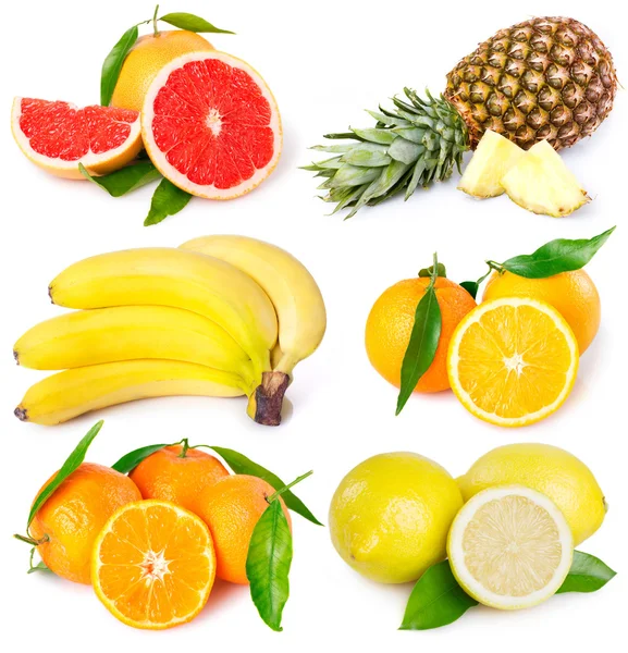 Collection of fresh fruits — Stock Photo, Image