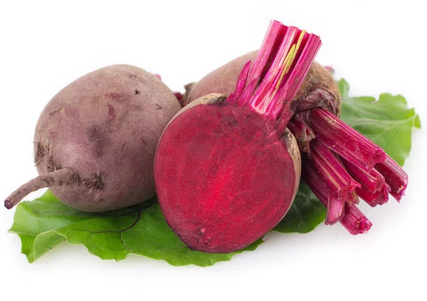 Fresh beetroot — Stock fotografie