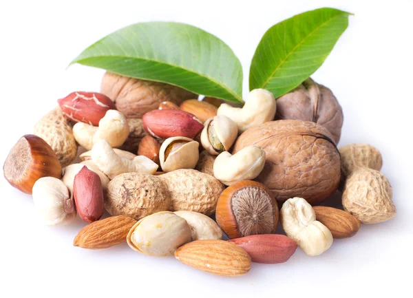 Sběr ořechů — Stock fotografie