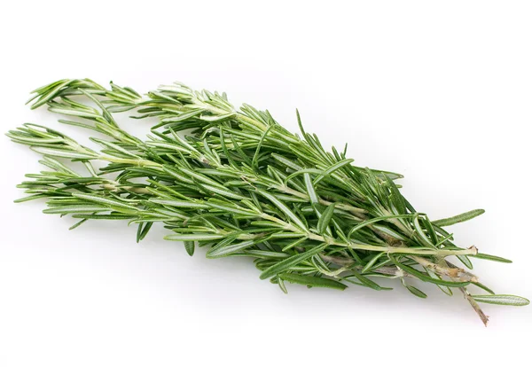 Fresh rosemary — Stock Photo, Image