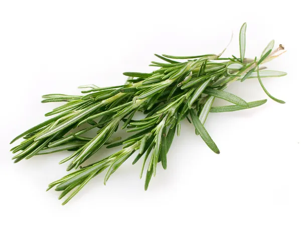 Fresh rosemary — Stock Photo, Image