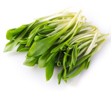 Fresh ramson