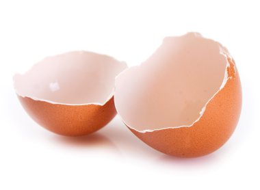 yumurta kabuğu