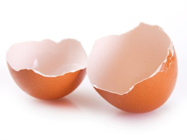 yumurta kabuğu